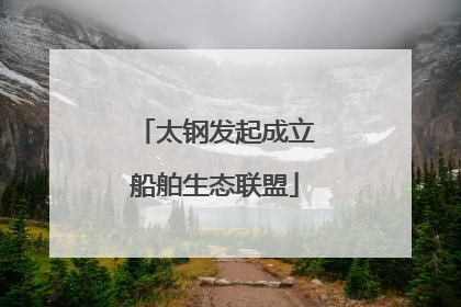 太钢发起成立船舶生态联盟
