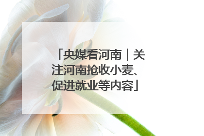 央媒看河南｜关注河南抢收小麦、促进就业等内容