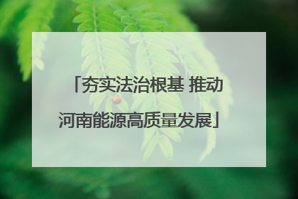 夯实法治根基 推动河南能源高质量发展