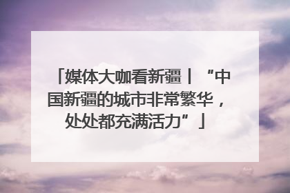 媒体大咖看新疆丨“中国新疆的城市非常繁华，处处都充满活力”
