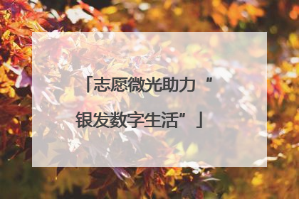 志愿微光助力“银发数字生活”