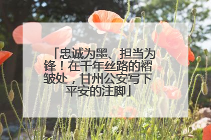 忠诚为墨、担当为锋！在千年丝路的褶皱处，甘州公安写下平安的注脚