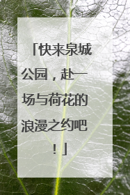 快来泉城公园，赴一场与荷花的浪漫之约吧！