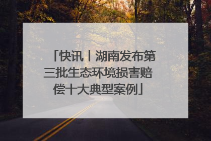 快讯丨湖南发布第三批生态环境损害赔偿十大典型案例