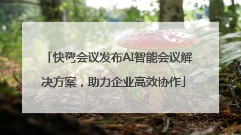 快鹭会议发布AI智能会议解决方案，助力企业高效协作