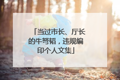 当过市长、厅长的牛弩韬，违规编印个人文集
