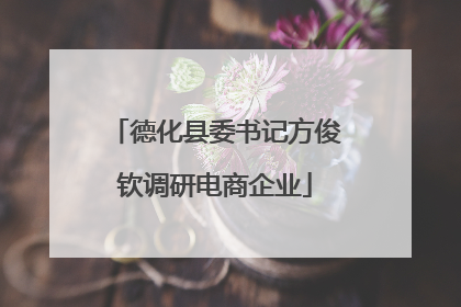 德化县委书记方俊钦调研电商企业