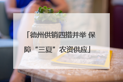 德州供销四措并举 保障“三夏”农资供应