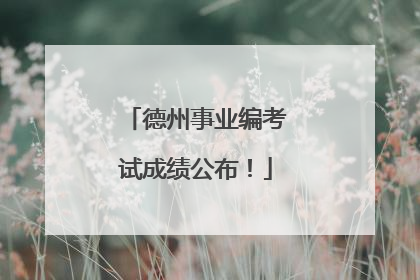 德州事业编考试成绩公布！