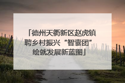 德州天衢新区赵虎镇聘乡村振兴“智囊团” 绘就发展新蓝图