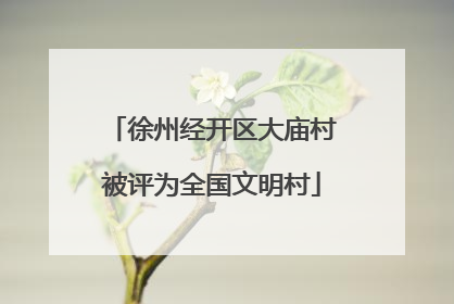 徐州经开区大庙村被评为全国文明村