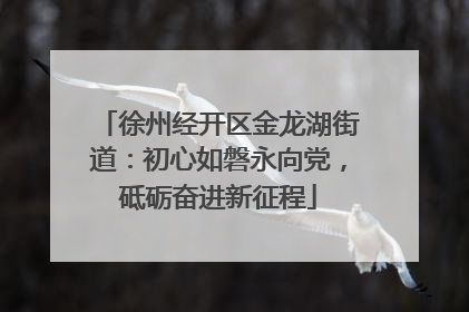 徐州经开区金龙湖街道：初心如磐永向党，砥砺奋进新征程