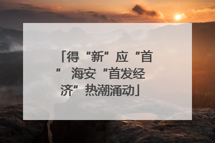 得“新”应“首” 海安“首发经济”热潮涌动