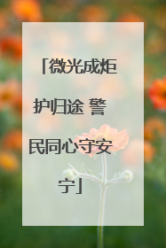 微光成炬护归途 警民同心守安宁