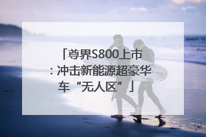 尊界S800上市：冲击新能源超豪华车“无人区”