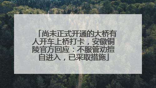 尚未正式开通的大桥有人开车上桥打卡，安徽铜陵官方回应：不服管劝擅自进入，已采取措施