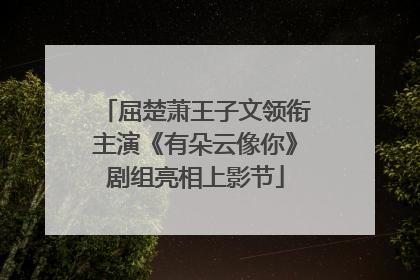 屈楚萧王子文领衔主演《有朵云像你》剧组亮相上影节