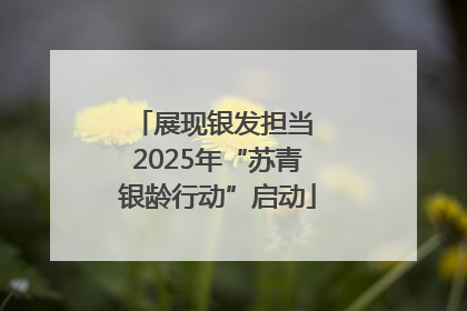 展现银发担当 2025年“苏青银龄行动”启动