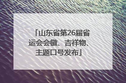 山东省第26届省运会会徽、吉祥物、主题口号发布