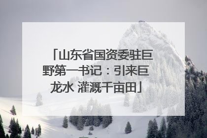 山东省国资委驻巨野第一书记：引来巨龙水 灌溉千亩田