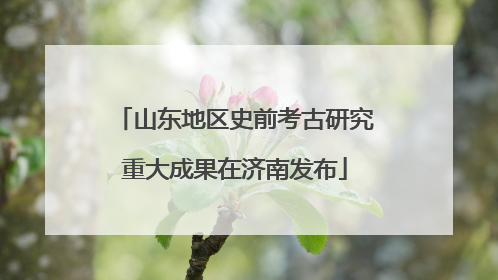 山东地区史前考古研究重大成果在济南发布