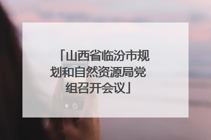 山西省临汾市规划和自然资源局党组召开会议