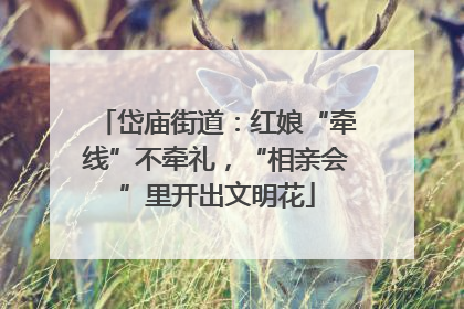 岱庙街道：红娘“牵线”不牵礼，“相亲会”里开出文明花