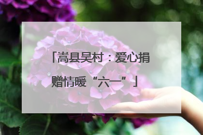 嵩县吴村：爱心捐赠情暖“六一”