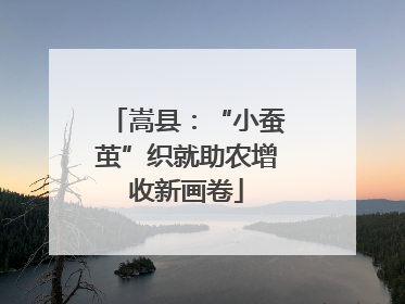 嵩县：“小蚕茧”织就助农增收新画卷