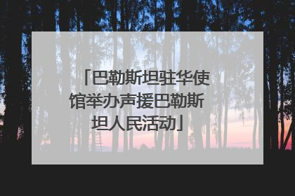 巴勒斯坦驻华使馆举办声援巴勒斯坦人民活动
