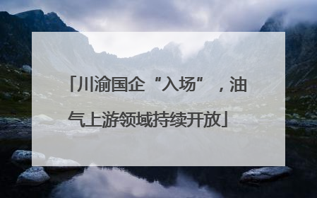 川渝国企“入场”，油气上游领域持续开放