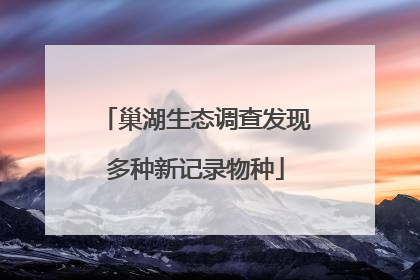 巢湖生态调查发现多种新记录物种