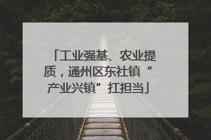 工业强基、农业提质，通州区东社镇“产业兴镇”扛担当