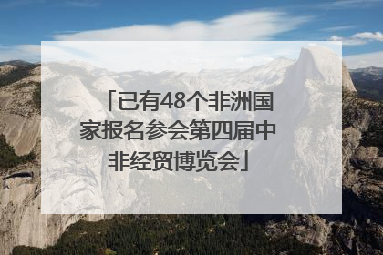 已有48个非洲国家报名参会第四届中非经贸博览会