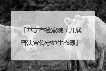 常宁市检察院：开展普法宣传守护生态绿