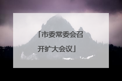 市委常委会召开扩大会议