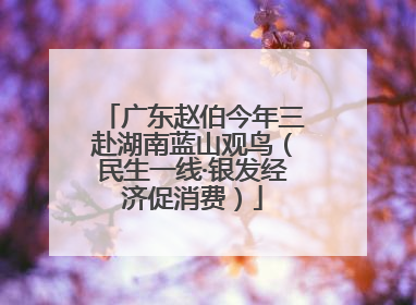 广东赵伯今年三赴湖南蓝山观鸟（民生一线·银发经济促消费）