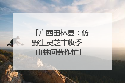 广西田林县：仿野生灵芝丰收季 山林间劳作忙