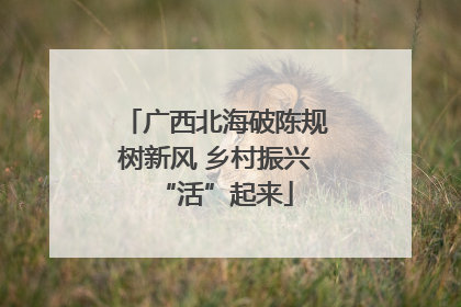 广西北海破陈规树新风 乡村振兴“活”起来