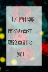 广西北海市举办青年理论宣讲比赛