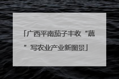 广西平南茄子丰收“蔬”写农业产业新图景