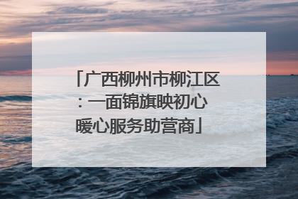 广西柳州市柳江区：一面锦旗映初心 暖心服务助营商