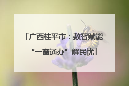广西桂平市：数智赋能“一窗通办”解民忧