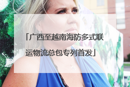 广西至越南海防多式联运物流总包专列首发