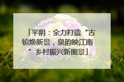 平阴：全力打造“古镇焕新景，泉韵映江南”乡村振兴新图景