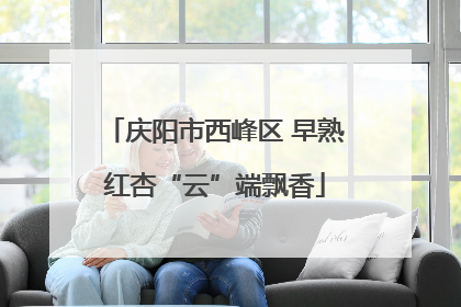 庆阳市西峰区 早熟红杏“云”端飘香