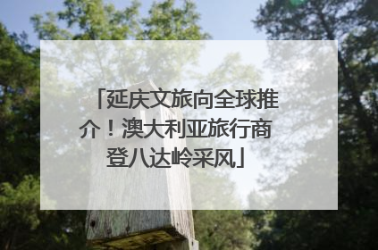 延庆文旅向全球推介！澳大利亚旅行商登八达岭采风