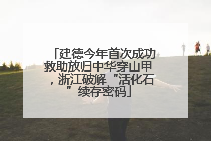 建德今年首次成功救助放归中华穿山甲，浙江破解“活化石”续存密码