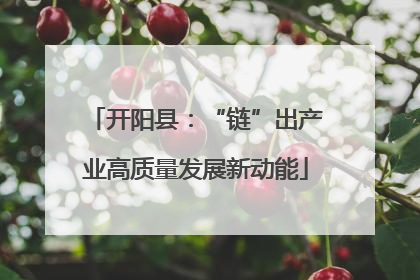 开阳县：“链”出产业高质量发展新动能