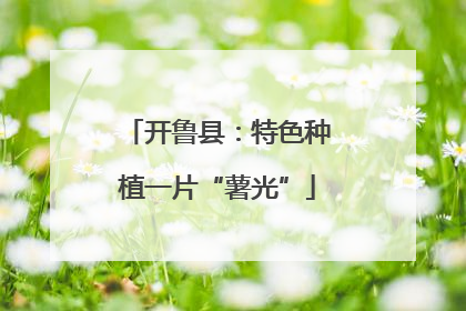 开鲁县：特色种植一片“薯光”